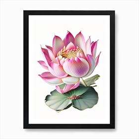 Pink Lotus Decoupage 5 Art Print