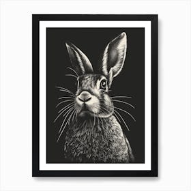 Blanc De Hotot Blockprint Rabbit Illustration 3 Art Print