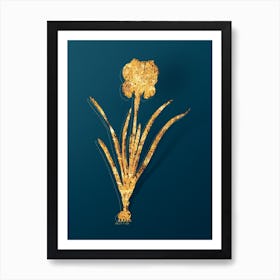 Vintage Mourning Iris Botanical in Gold on Teal Blue n.0068 Art Print