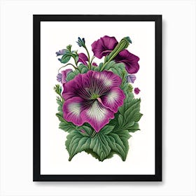 Petunia 1 Floral Botanical Vintage Poster Flower Art Print