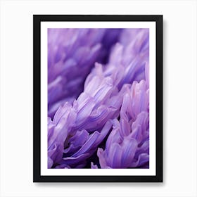 Close Up Of Purple Flowers Art Print