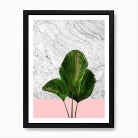 Palm Plant on Marble and Pink Wall Art Print