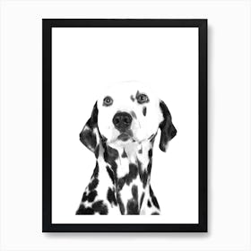 Black and White Dalmatian Art Print
