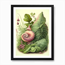 Garden Snail In Park Botanical Art Print