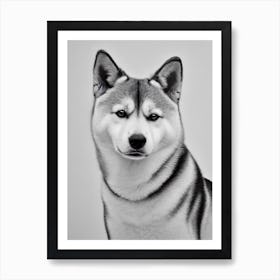 Shiba Inu B&W Pencil Dog Art Print