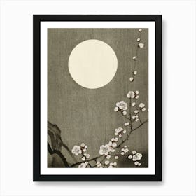 Asian Cherry Blossoms Art Print