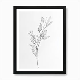 Drawing Of A Leaf 3 Art Print