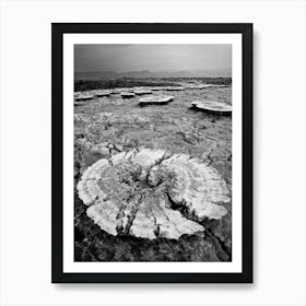 Salt Of The Earth Landscape In The Desert In Ethiopia Art Print