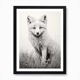 Arctic Fox In A Field Pencil Drawing 1 Art Print