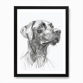 Chesapeake Bay Retriever Dog Charcoal Line 3 Art Print