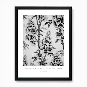 Aconitum B&W Vintage Botanical Poster Art Print