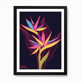 Strelitzia Flowers Art Print