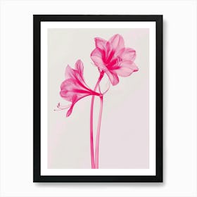 Hot Pink Amaryllis 3 Art Print