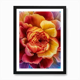 Peony 4 Art Print