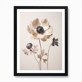 Pressed Flower Botanical Art Anemone 3 Art Print
