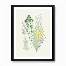 Fennel Seeds Spices And Herbs Minimal Line Drawing 6 Art Print