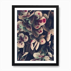 Hydrangea Flowers Art Print