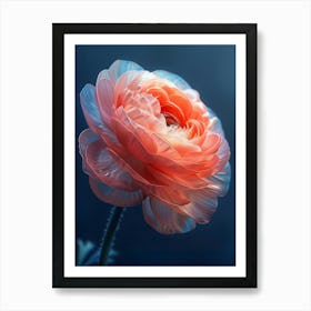 Anemone Art Print