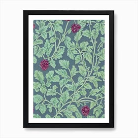 Black Raspberry 1 Vintage Botanical Fruit Art Print