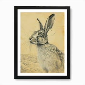 English Angora Rabbit Drawing 4 Art Print