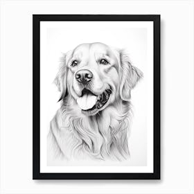 Golden Retriever Dog, Line Drawing 1 Art Print