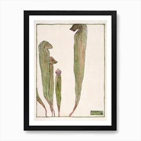 Pitcher Plant (1915), Hannah Borger Overbeck Art Print