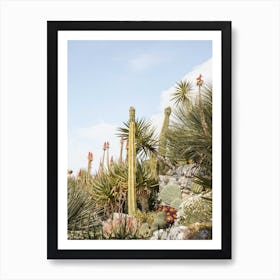 Tropical Cactus Plants Art Print