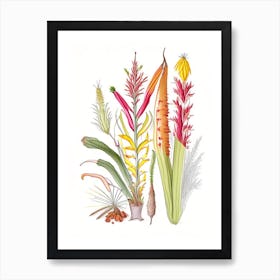 Helonias Root Spices And Herbs Pencil Illustration 1 Art Print