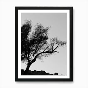 Silhouette Of A Tree 1 Art Print