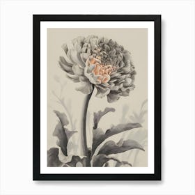 Chrysanthemum 2 Art Print