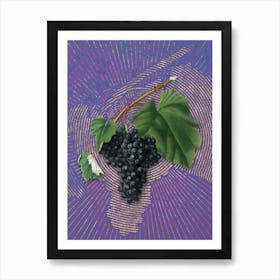 Vintage Black Canaiolo Botanical Illustration on Veri Peri n.0370 Art Print