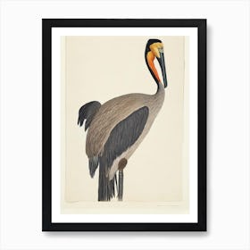 Brown Pelican Illustration Bird Art Print