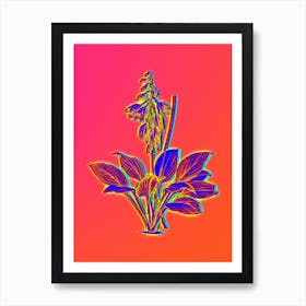 Neon Daylily Botanical in Hot Pink and Electric Blue Art Print