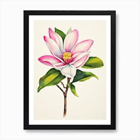 Magnolia 1 Vintage Flowers Flower Art Print