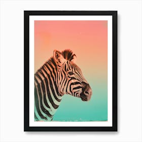Zebra Polaroid Inspired Art Print