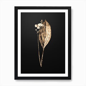 Gold Botanical Bulltongue Arrowhead on Wrought Iron Black n.0246 Art Print