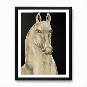 White Horse Marengo Art Print