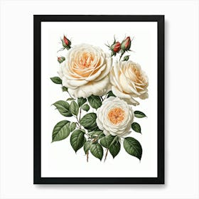 Vintage Galleria Style Rose Art Painting 17 Art Print