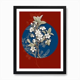 Vintage Botanical White Plum Flower on Circle Blue on Red n.0028 Art Print