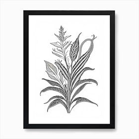 Comfrey Herb William Morris Inspired Line Drawing 2 Art Print