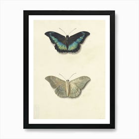 Vintage Two Butterflies Art Print