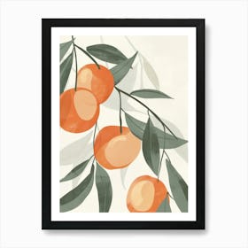 Apricot Close Up Illustration 2 Art Print