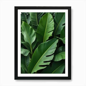 Close Up Of Green Tropical Leaves Texture Art Print