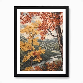 River Birch 3 Vintage Autumn Tree Print  Art Print
