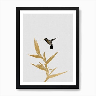 Hummingbird & Flower II Art Print