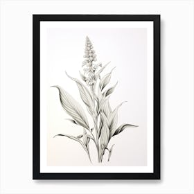 Ginger Vintage Botanical Herbs 0 Art Print