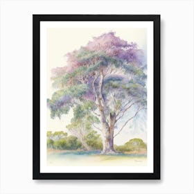 Atherton Tableland S Curtain Fig Tree, Australia Pastel Watercolour Art Print