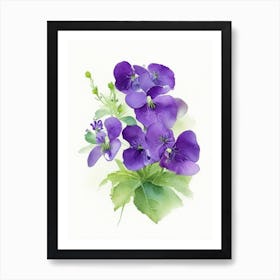 Violets Wildflower Watercolour 2 Art Print