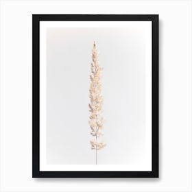 Minimal Pampas Grass On White Art Print