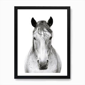 Black and White Horse's Head 1 Art Print